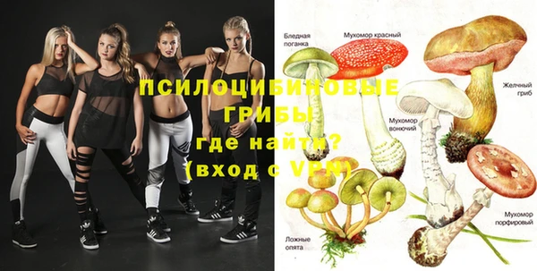 каннабис Баксан